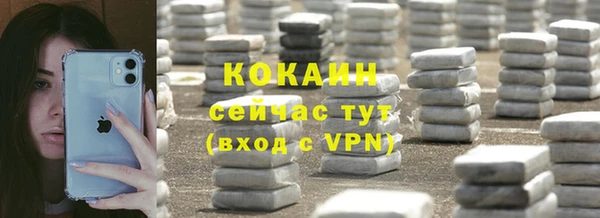 винт Абаза