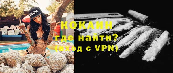 винт Абаза