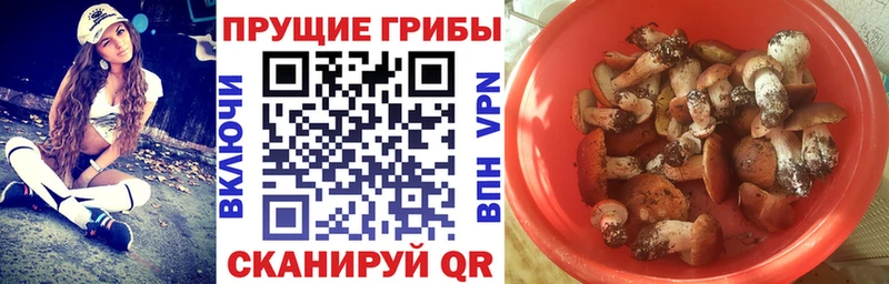 маркетплейс клад  где найти наркотики  Черепаново  Галлюциногенные грибы GOLDEN TEACHER 